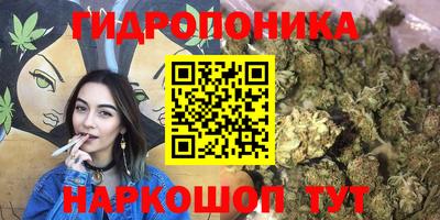 стафф Тверь