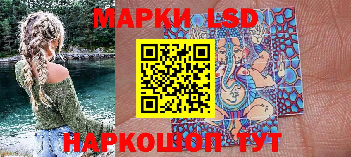 Псилоцибиновые грибы Кондопога