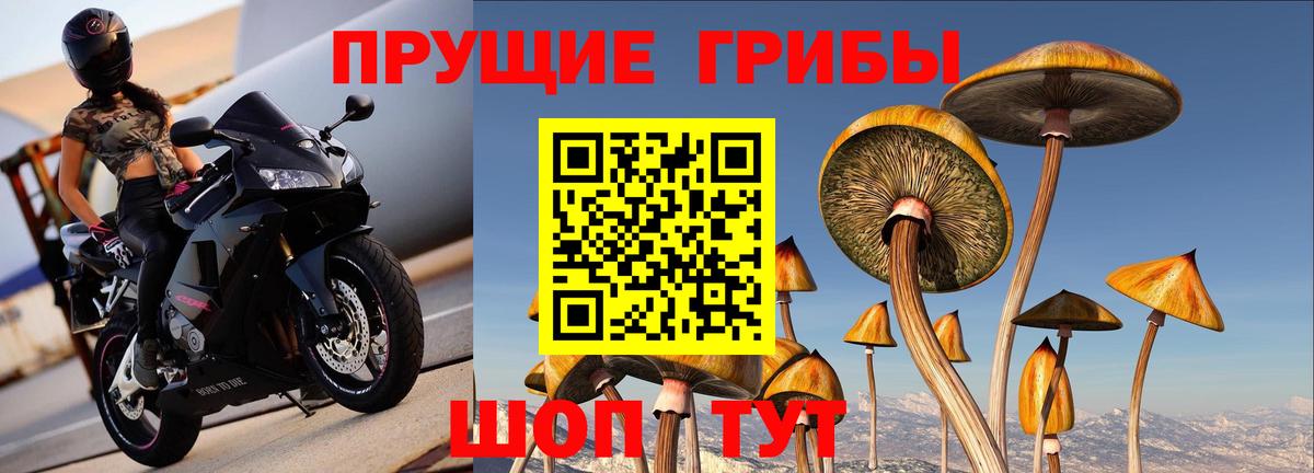 Псилоцибиновые грибы мицелий  Галлюциногенные грибы Magic Shrooms  как найти закладки  Вход с VPN  Кондопога 